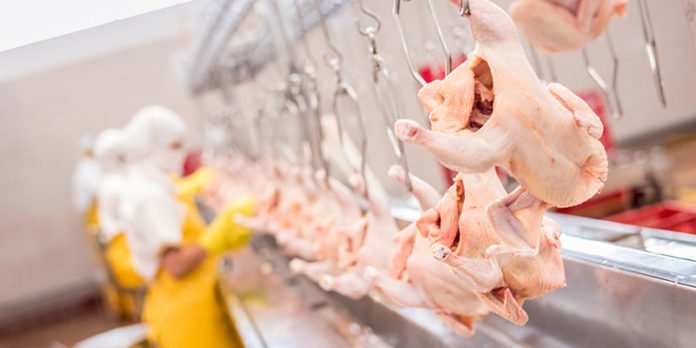 redfm_BC-Poultry-Plants_post