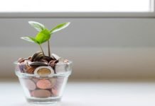 Does Canada Need to Adopt To a Savings Culture?