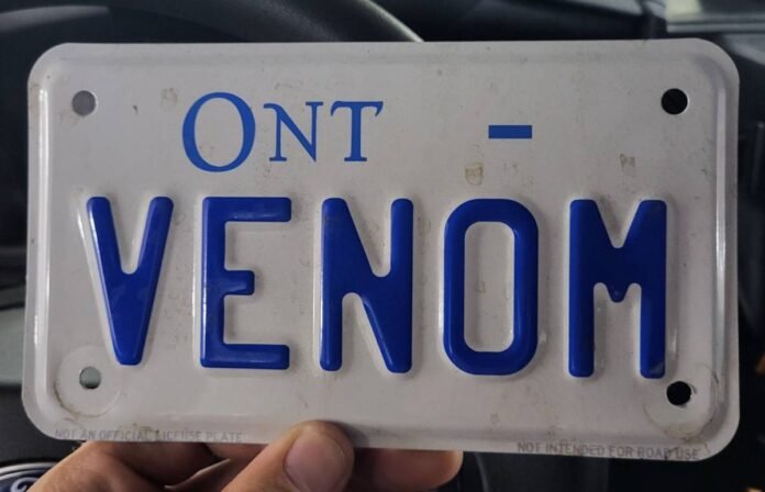 25-219017 fake plate