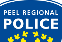 Brampton man charged after allegedly harassing and extorting former employer