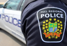 Missisauga man charged in human trafficking investigation logo of peel regional police