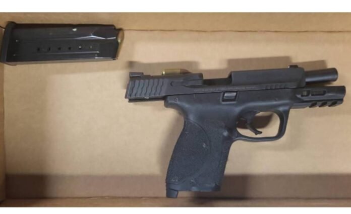 firearm (1)