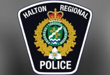Police searching for suspects after Burlington jewelry store smash-and-grab Halton Regional Police Service Logo