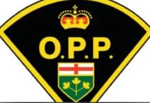 OPP renew appeal for info in Elnaz Hajtamiri case, four years after woman’s abduction logo of ontario provincial police