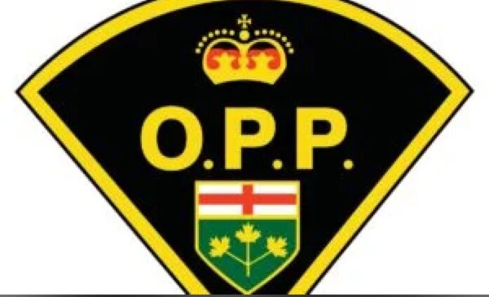 logo of ontario provincial police