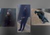 Toronto Police seek suspect in armed robbery investigation Security camera images of suspect