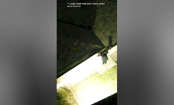 Image of the supect trying to hide from police