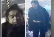 Two men arrested, woman still at large after nighttime assault in Toronto