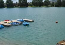 City of Brampton shares health and safety tips after waterfowl found dead around two local ponds