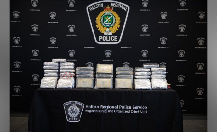 Drugs siezed by police Stacks of brick-shaped packages of suspected drugs displayed on a table in front of a Halton Regional Police backdrop, with the Halton Regional Police Service crest visible above and text identifying the Regional Drug and Organized Crime Unit below.