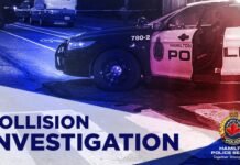 Hamilton police looking for driver after serious hit-and-run incident
