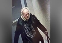 Toronto Police investigating break-and-enter incident, suspect identified Security camera image of a person wearing a light-coloured striped beanie, black jacket, and a dark hoodie with a large graphic on the front, standing indoors and holding what appears to be a bag strap.