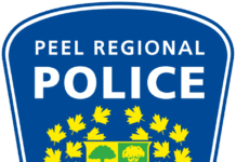 Peel Regional Police arrest 95 in retail crime crackdown at major malls