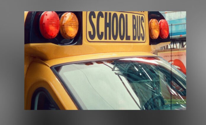 yellow coloured vehicle with "School Bus"written on it