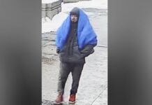 Suspect sought in alleged assaults in Yonge Street and Parkview Avenue area