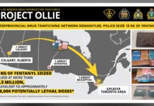 Four charged after interprovincial fentanyl investigation seizes $2.3M in suspected drugs