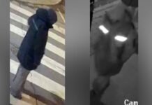 Toronto police seek suspect in sexual assault investigation