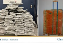 CBSA seizes over 1,000 kg of illegal cannabis at GTA outbound points A large pile of white sealed bags of seized drugs displayed by the Canada Border Services Agency beside an image of an orange suitcase used to conceal the shipment.