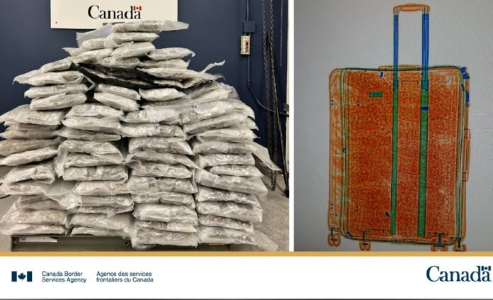 A large pile of white sealed bags of seized drugs displayed by the Canada Border Services Agency beside an image of an orange suitcase used to conceal the shipment.